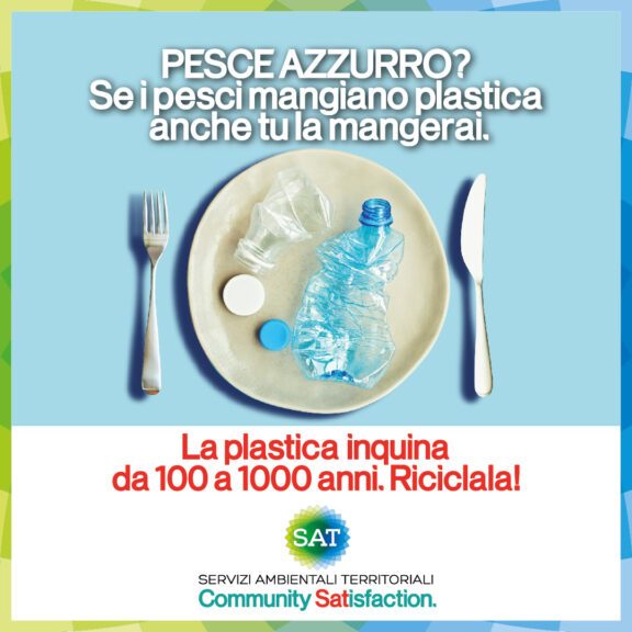 Social 1080 _Sat02_Piatto