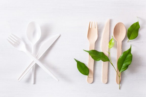 harmful plastic cutlery and eco friendly wooden cutlery. plastic