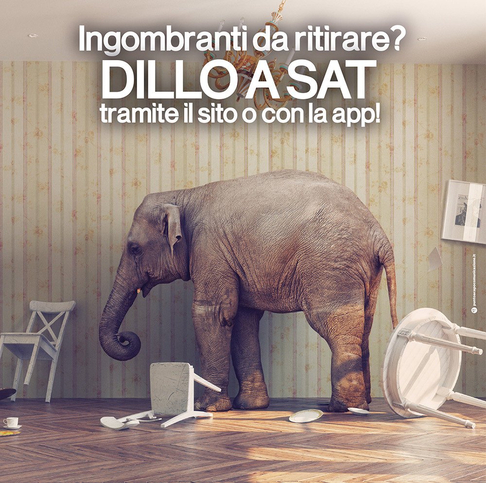 Comunicare con SAT: i nuovi servizi per l’utente