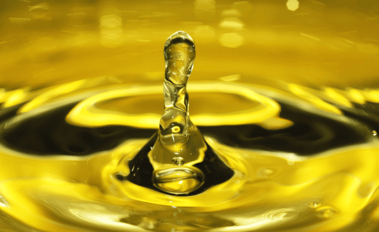 Spotorno: nuovo raccoglitore olio esausto alimentare dal 1-1-2025