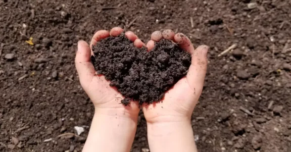 preparare-il-compost-1200×627-560